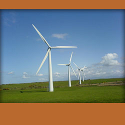 a line of wind turbines in an open field